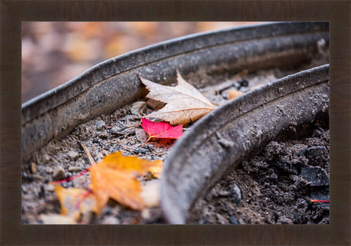 Fall Fire Pit - Image 6