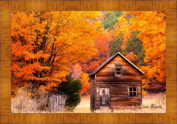 Fall Farm - Image 5