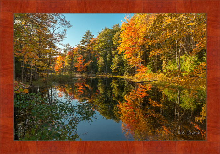 Fall in Maine 2 - Image 4