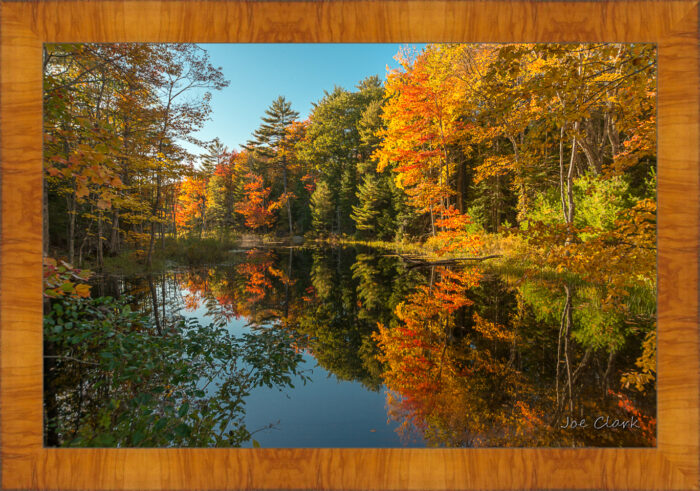 Fall in Maine 2 - Image 5