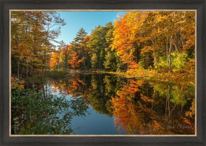 Fall in Maine 2 - Image 2