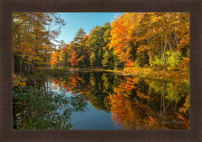 Fall in Maine 2 - Image 3