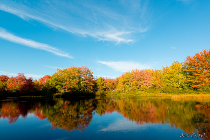 Fall in Maine 1