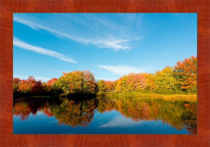 Fall in Maine 1 - Image 4