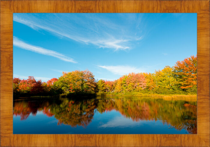 Fall in Maine 1 - Image 5