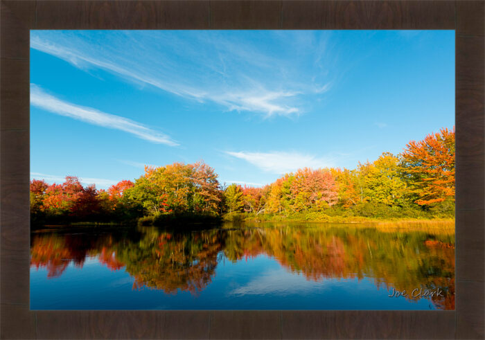 Fall in Maine 1 - Image 3