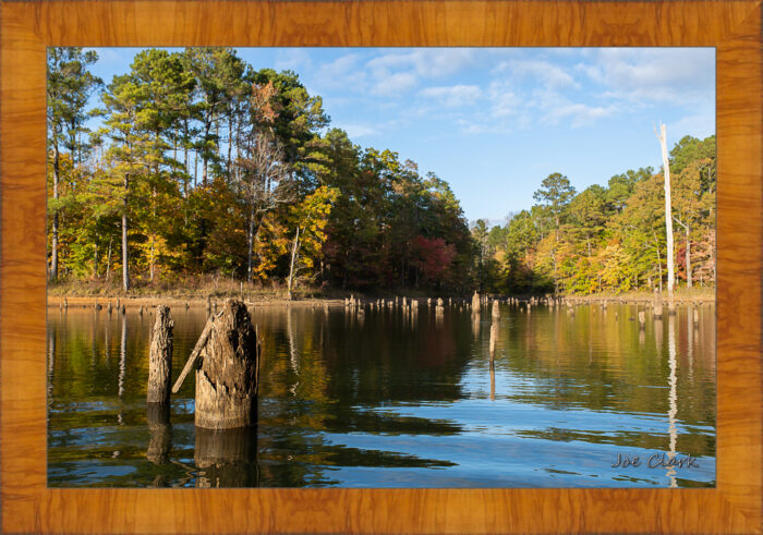 Flooded Fingers - Image 5