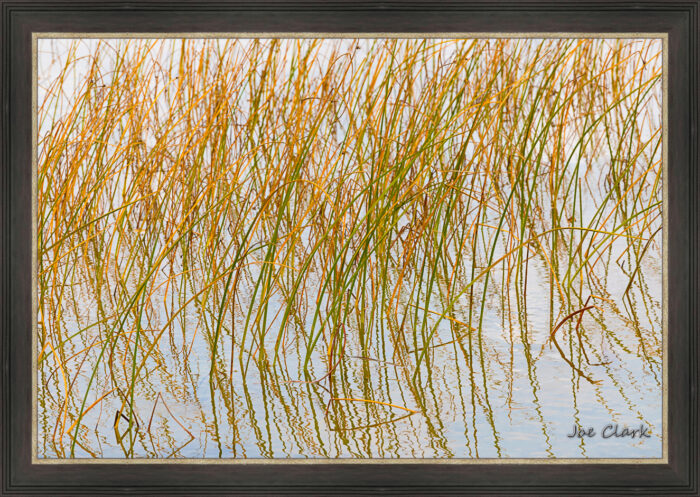 Growth Reflections - Image 3