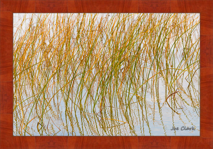 Growth Reflections - Image 4