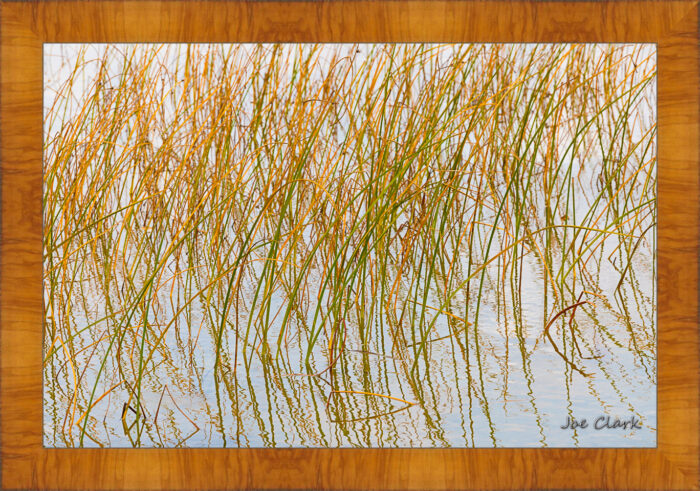 Growth Reflections - Image 5