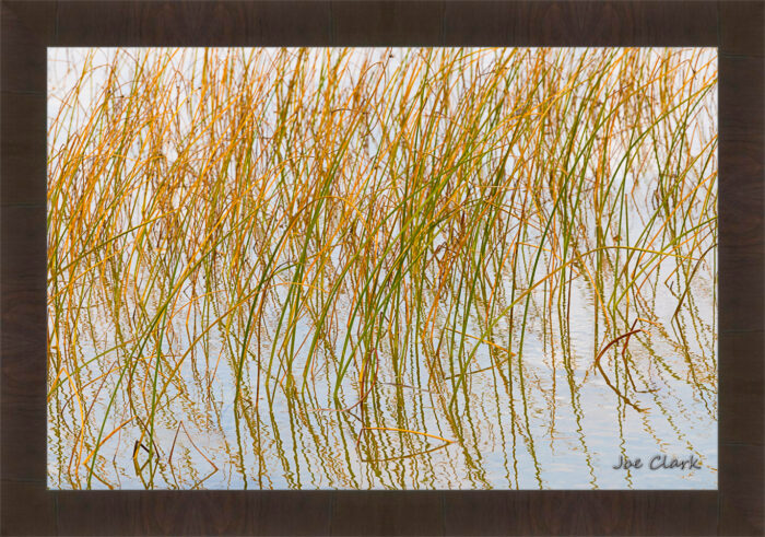 Growth Reflections - Image 2