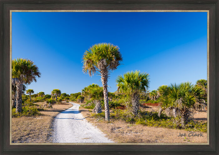 Gulf Trail - Image 3