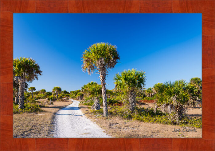 Gulf Trail - Image 4