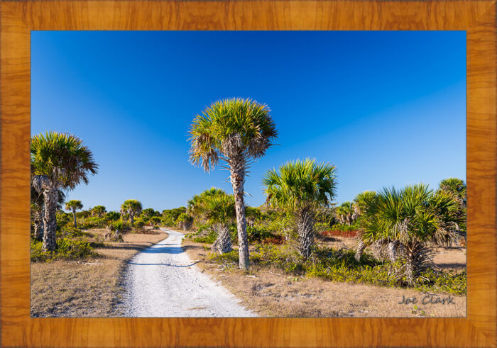 Gulf Trail - Image 5