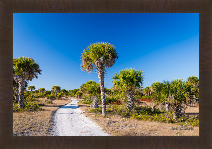 Gulf Trail - Image 2