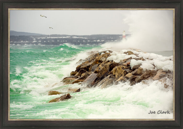 Gull Storm - Image 3