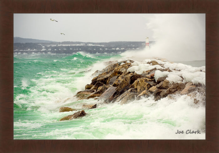 Gull Storm - Image 6