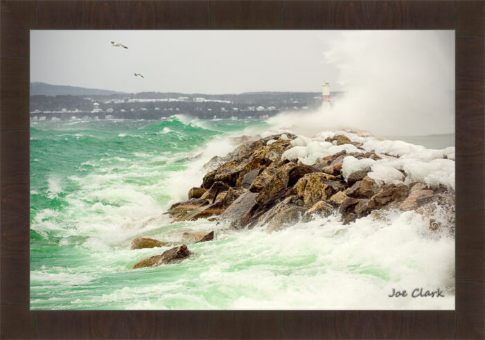Gull Storm - Image 2
