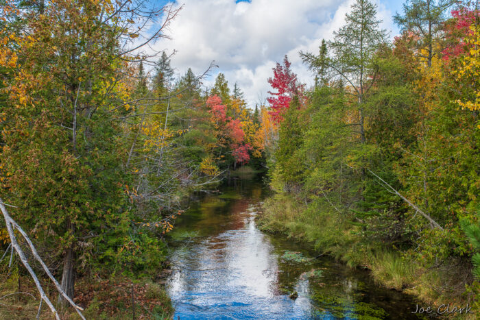 Horton Creek in Fall 1