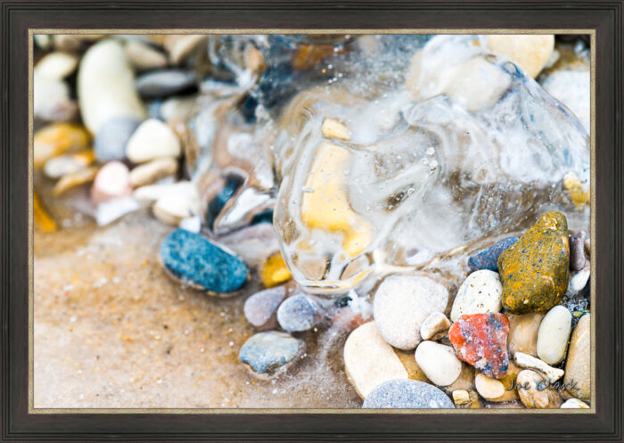 Ice Turtle - Image 3