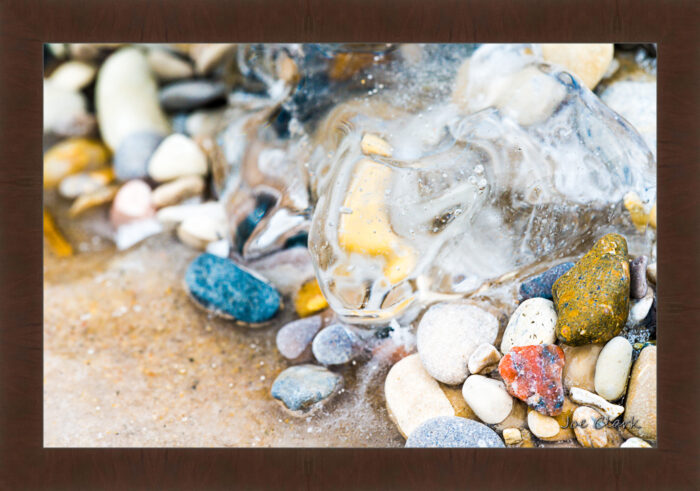 Ice Turtle - Image 6