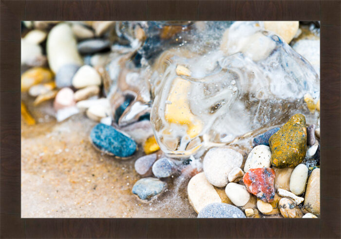 Ice Turtle - Image 2