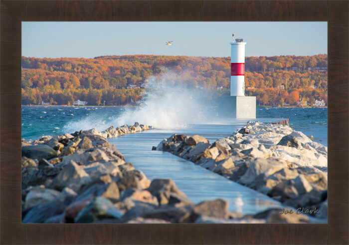 Lone Gull - Image 2