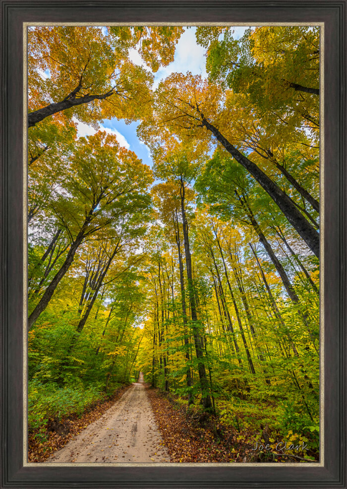 Long Way Home - Image 3