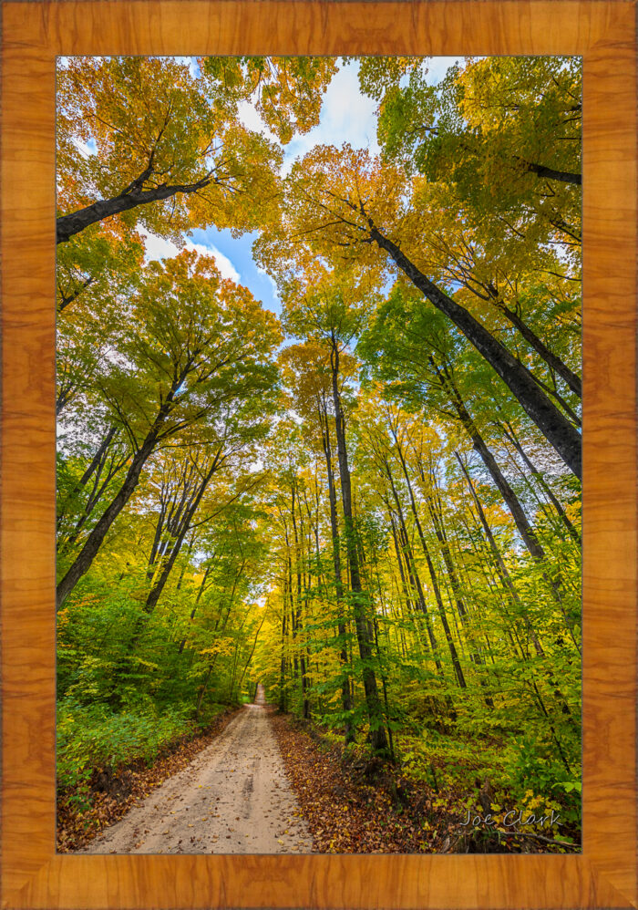 Long Way Home - Image 5