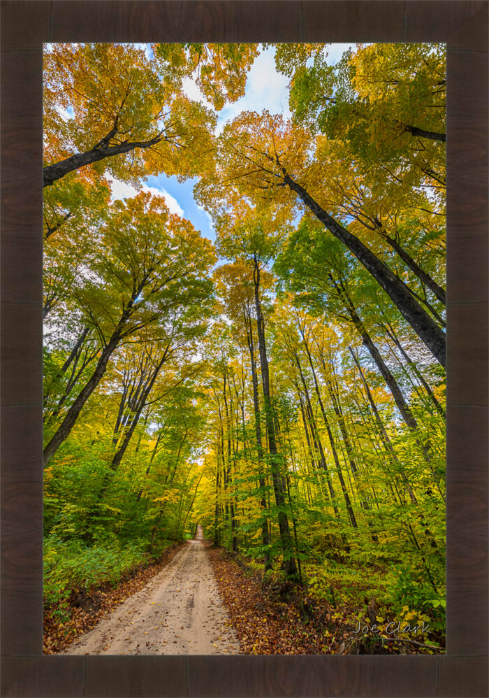 Long Way Home - Image 2