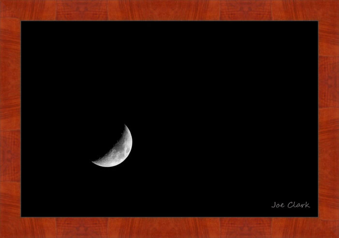 Luna, Alone - Image 4