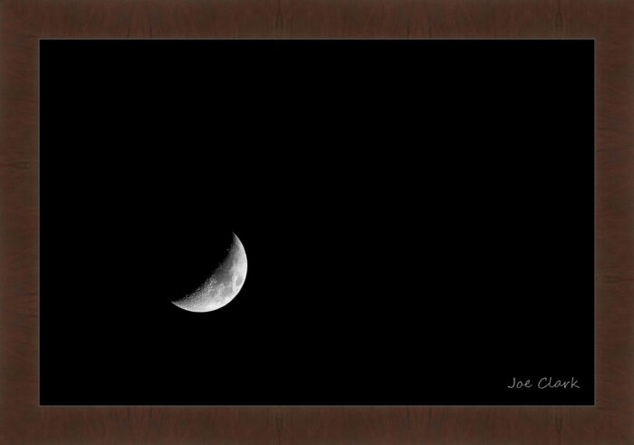 Luna, Alone - Image 6