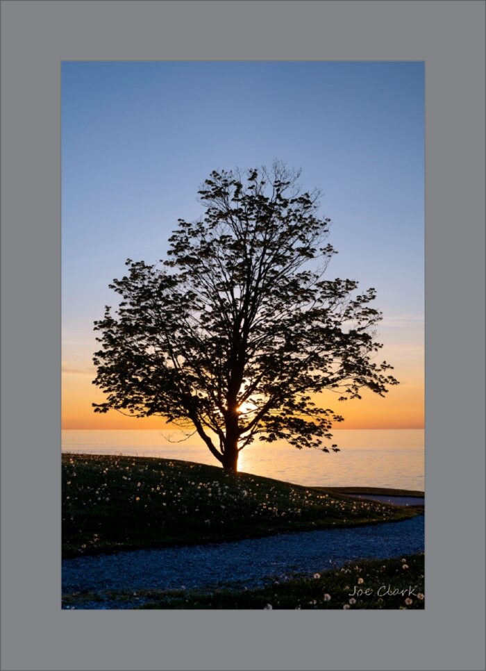 Sun's Song - Image 2