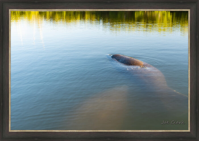 Manatee Hole - Image 3