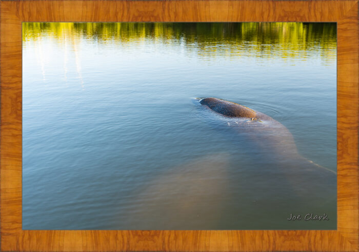 Manatee Hole - Image 5