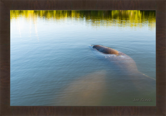 Manatee Hole - Image 2