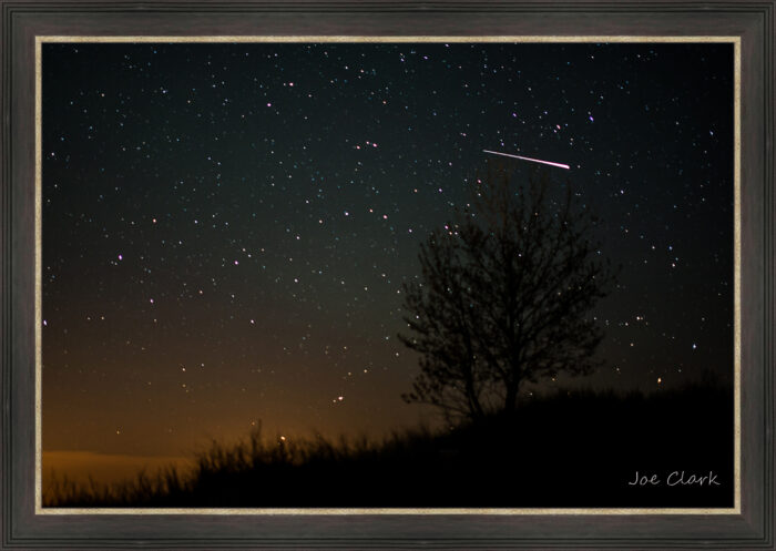 Meteor Tree - Image 3