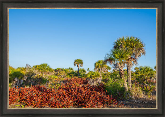 Mid-Island - Image 3
