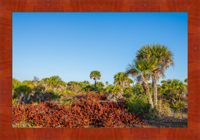 Mid-Island - Image 4