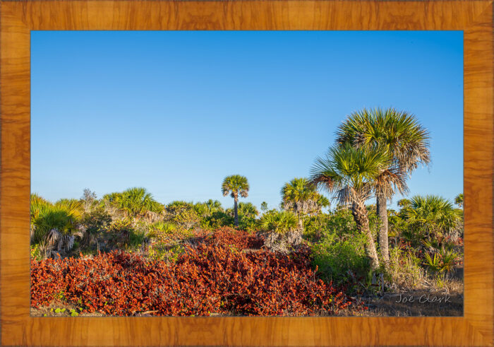 Mid-Island - Image 5