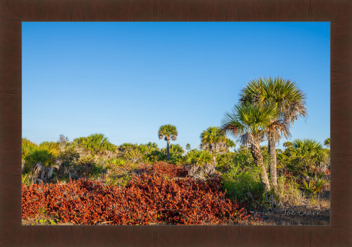 Mid-Island - Image 6
