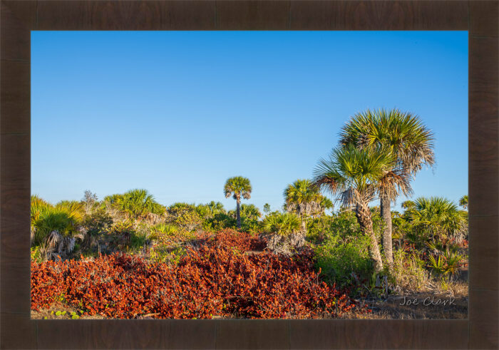 Mid-Island - Image 2