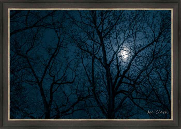 Moon Shadow - Image 3