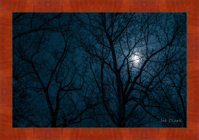 Moon Shadow - Image 4