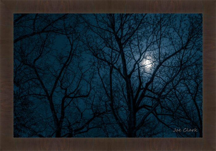 Moon Shadow - Image 2