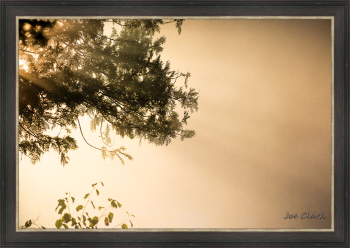 Morning Haze - Image 3