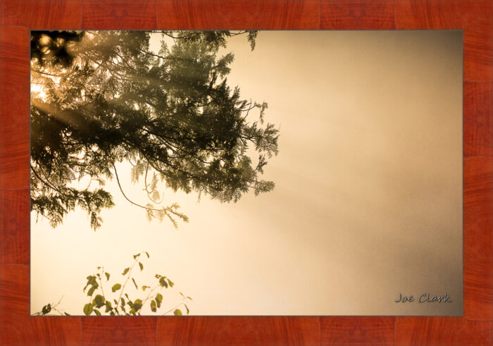 Morning Haze - Image 4