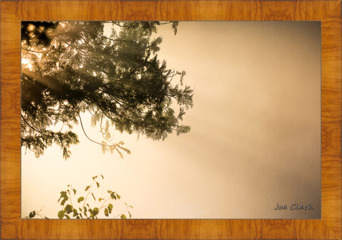 Morning Haze - Image 5