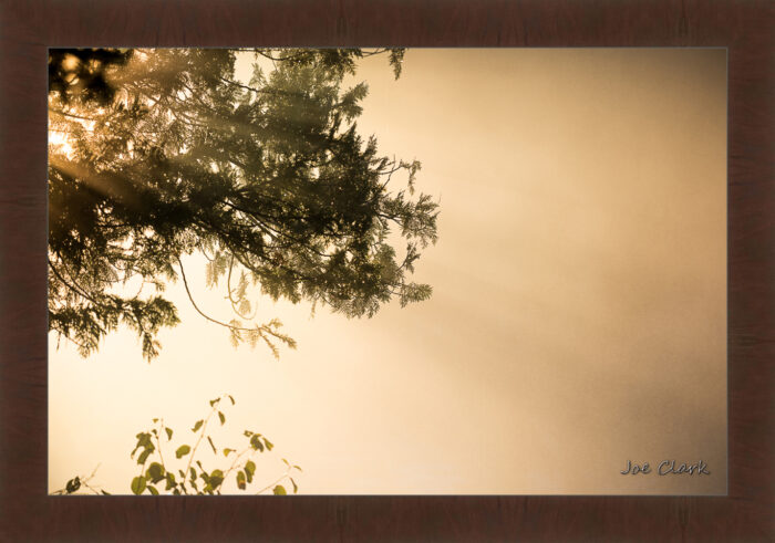 Morning Haze - Image 6