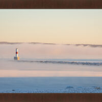 Morning Seasmoke - Image 6
